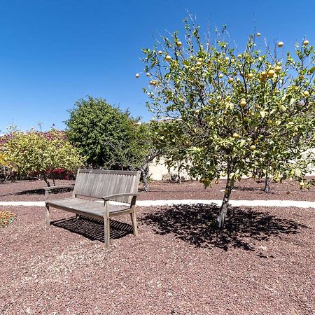 Casa Las Palmeras Granadilla De Abona Εξωτερικό φωτογραφία